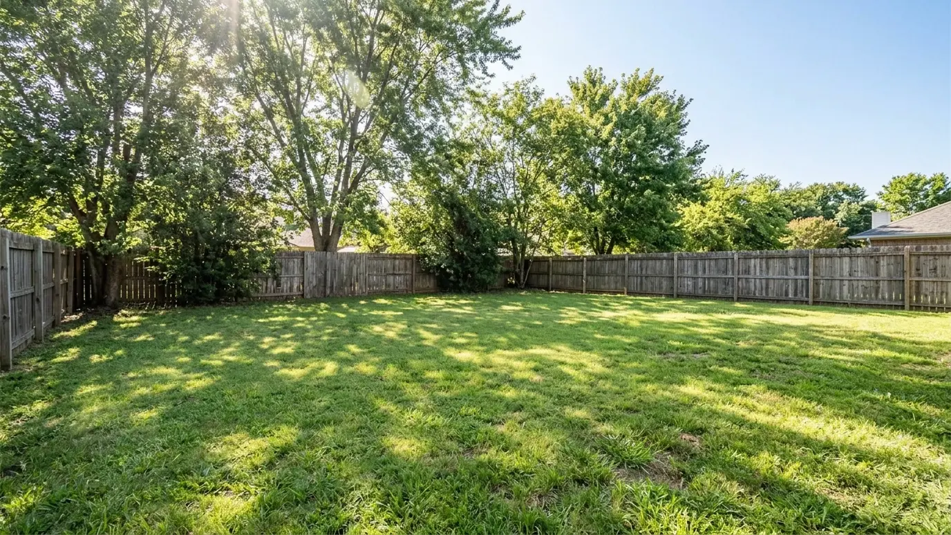 Before: a backyard lawn with a bare green lawn beside a fence